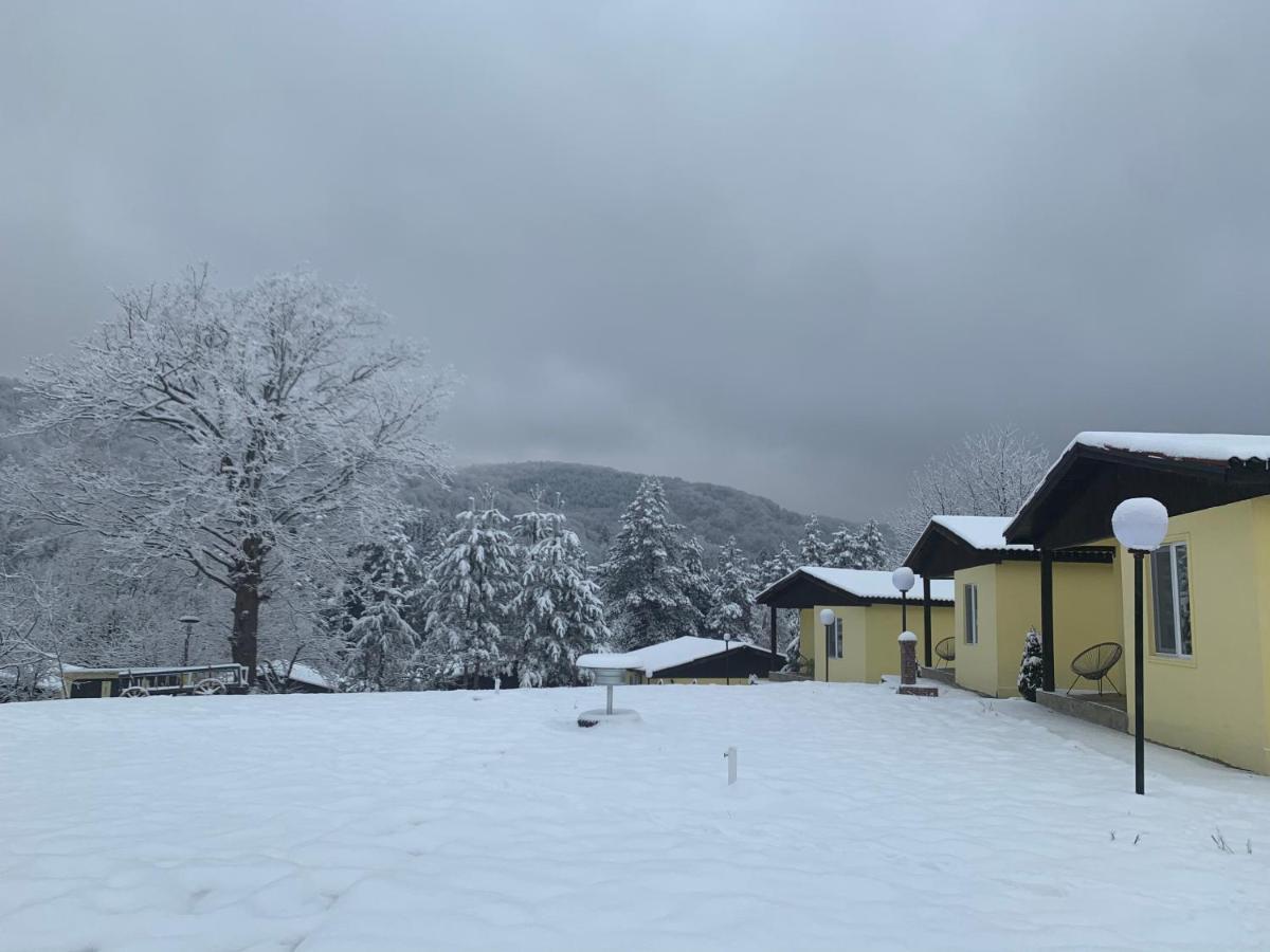 Daskalov Bungalows Chervena Lokva Exteriér fotografie